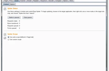 Burp Suite Professional 2021.10.3 Patch Crack
